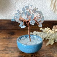 ✲ Aquamarin Glüchsbaum ✲ 130g / 110mm Money Tree