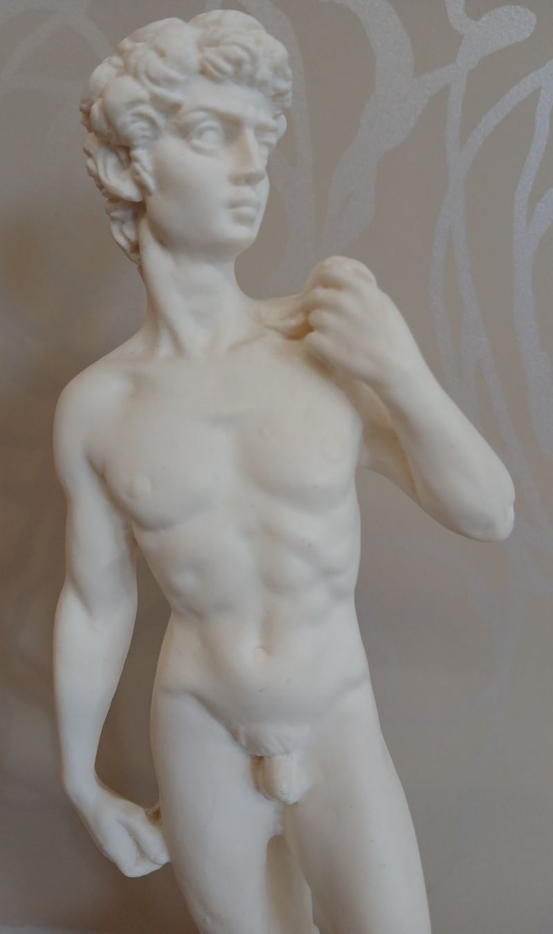 Sculptures & Statues: Replik von Michelangelos "David"-Statue / Nachbildung aus IT – D'occasion à Weisslingen par Brillianto 1