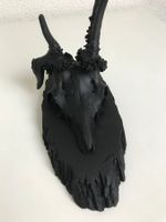 Geweih Horn Trophäe Rehgeweih Dekoration
