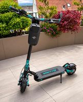 VSETT 9+ Dual Motor | Sehr gepflegt | Nur 309 km
