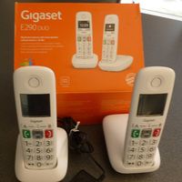 Siemens Gigaset Duo schnurlos