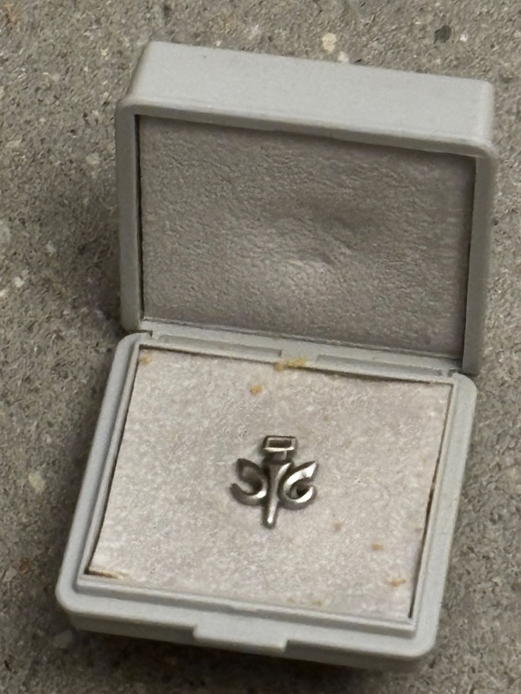 Broschen & Nadeln: Silberne Brosche mit Lilie in Schatulle – Neu (gemäss Beschreibung) aus Zürich von engebrunau