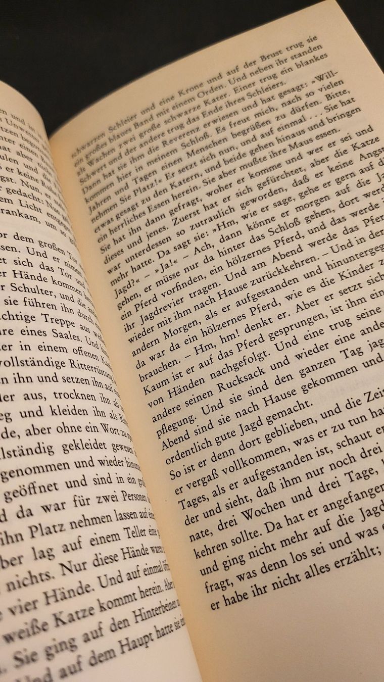 Livres: Buch RÄTO ROMANISCHE MÄRCHEN – D'occasion à Basel par spinne02 4