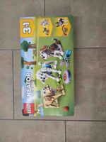 LEGO Creator 3-in-1 Hunde Set 31137 neu
