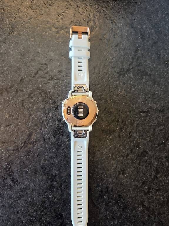 Garmin Smartwatch: Garmin Fenix 6s Roségold – Gebraucht aus Lurtigen von nadinekaempf 2
