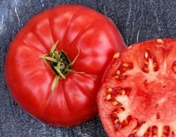 30 SAMEN GRAINES SEMI  "FLEISCHIGE" TOMATE‪‪‪‪‪