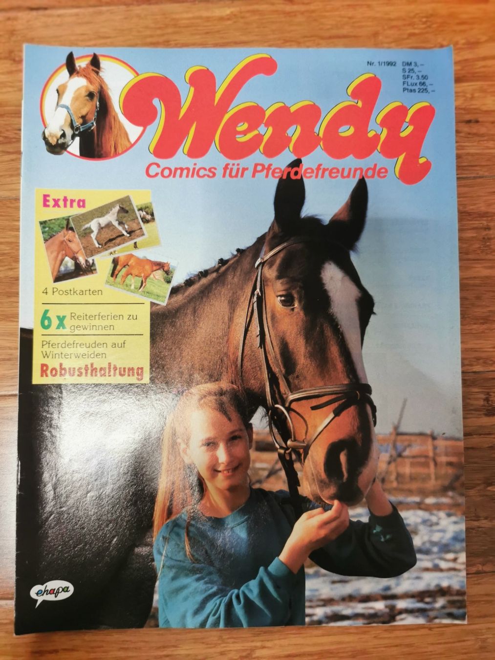 Fumetti: Wendy Pferde Hefte / Comics / Zeitschriften 1992 – Usato da Tägerschen venduto da mamirockt