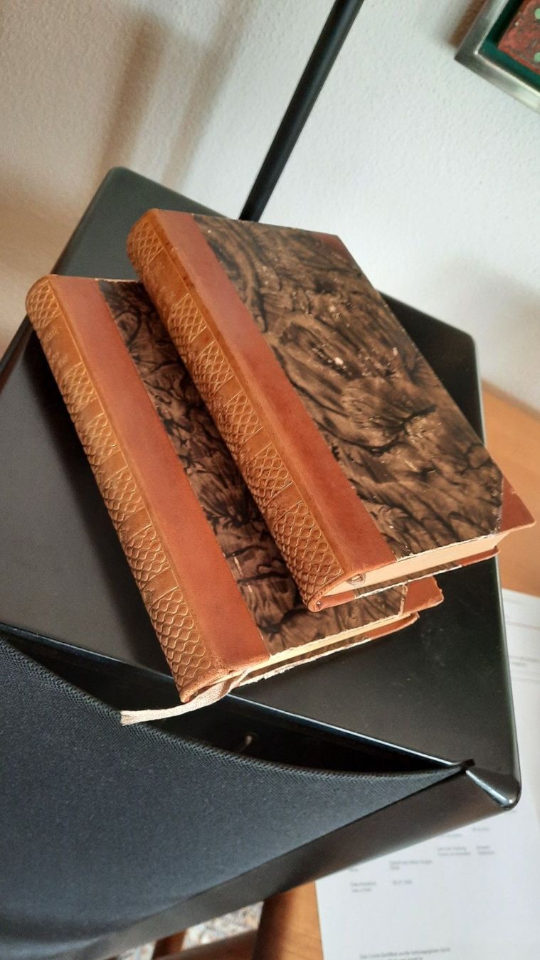 Outils anciens: DAS BUCH DER LIEBE, 2 BÄNDE VON E. PAUL – D'occasion à zürich par gabab 1