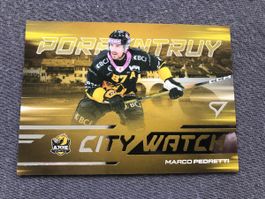 Marco Pedretti Ajoie Hockey Card