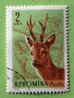 Briefmarken aus Romanian gestempelt Siehe Original Fotos.
