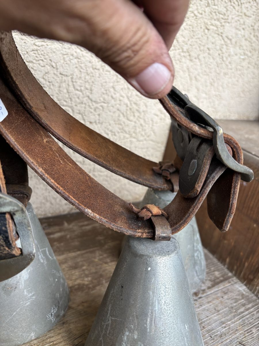 Cloches & sonnailles: Schaf/Ziegenglocken. – D'occasion à Schangnau par Roseggli82 2