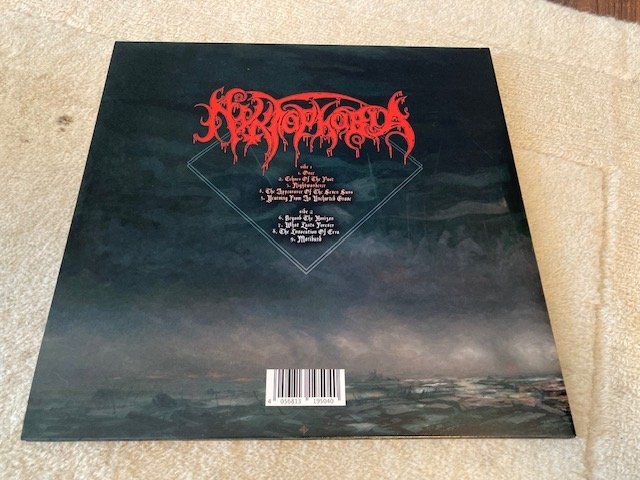 Dischi in vinile: NYKTOPHOBIA- What Lasts Forever – Usato da Wagenhausen venduto da Novafreund283 1