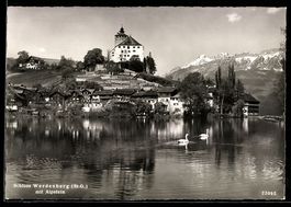 AK Werdenberg /St.G., Schloss Werdenberg mit Alpstein