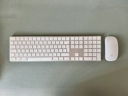 Apple Magic Tastatur und Maus