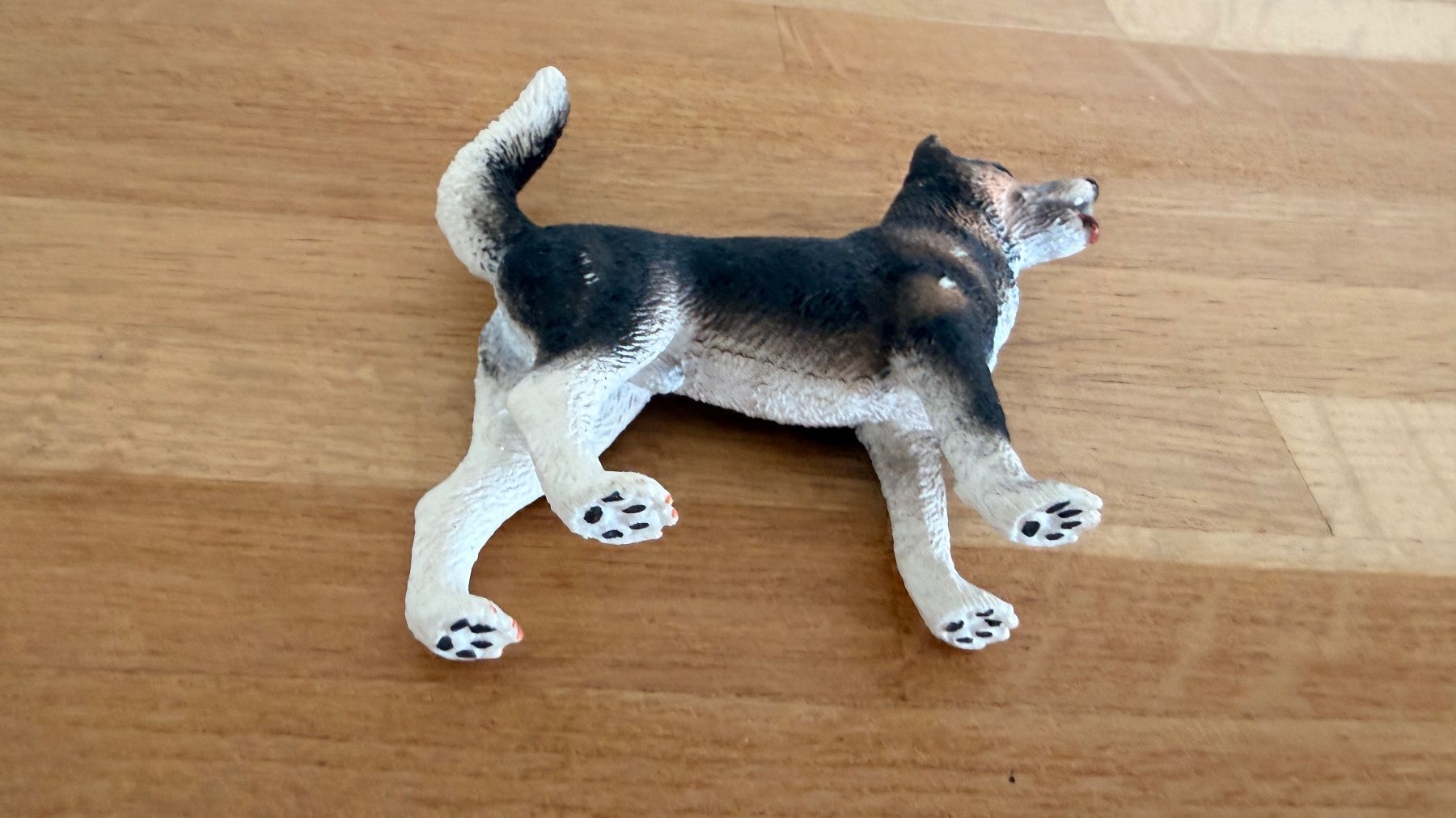 Schleich Giocattoli: SCHLEICH - Husky 16371 – Usato da Winterthur venduto da Secondhand-Family 6