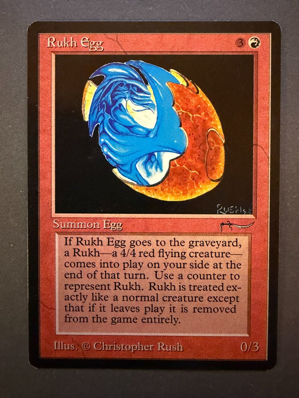 Magic The Gathering Sammelbilder & Trading cards: Rukh Egg// Arabian Nights // Magic The Gathering – Gebraucht aus Binz von Tempelritter