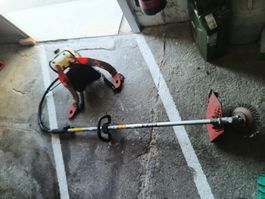 Trimmer