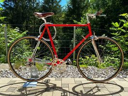 Paletti-Rahmen Fahrrad mit Campagnolo Chorus Komponenten