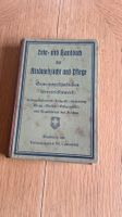 Lehrbuch Rindviehzucht & Pflege, Jahrgang 1924, Rarität!