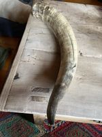 Grosser Deko Stierhorn, echtes Horn,