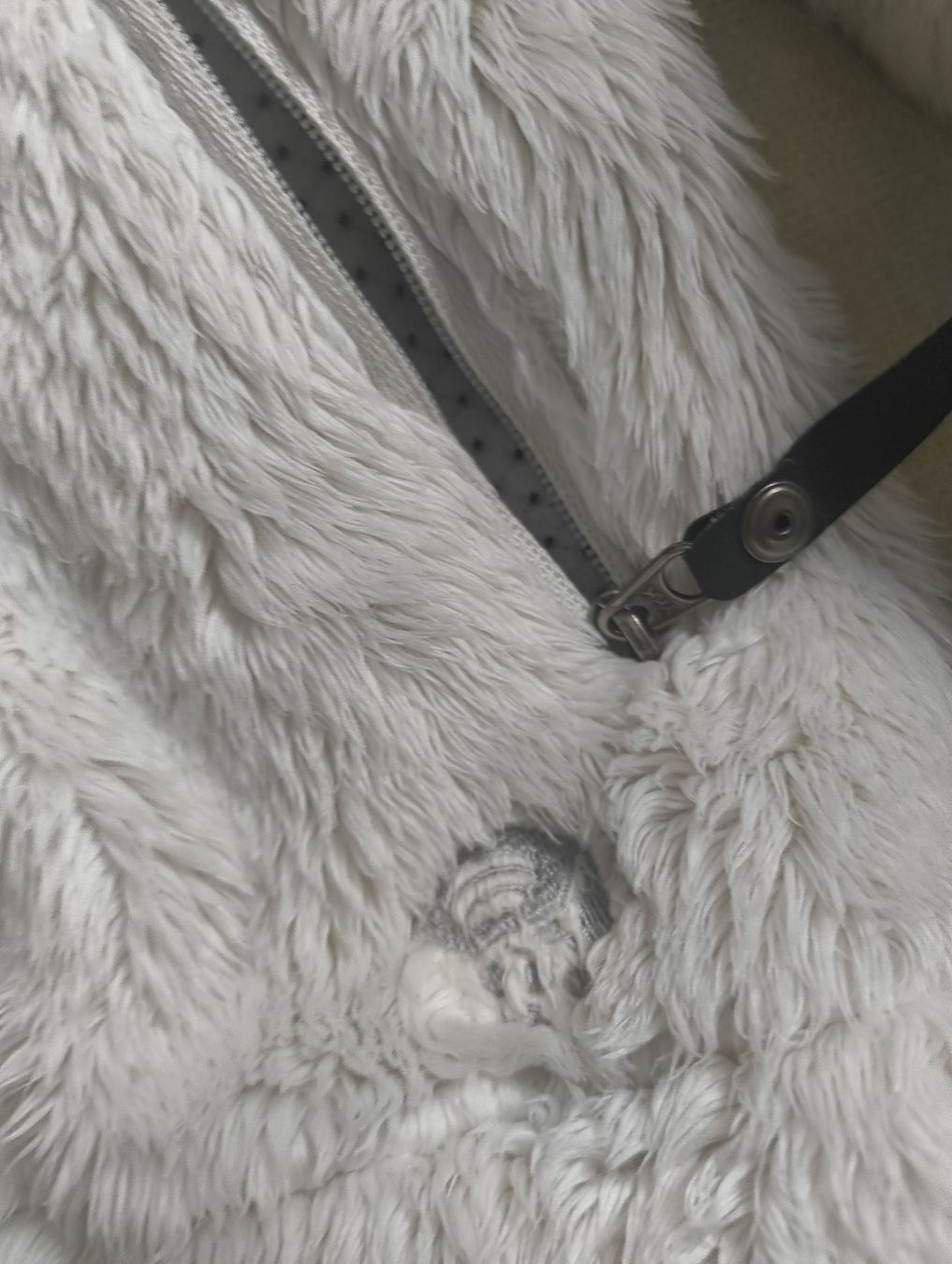 Giacche: Mountain Hardware Windstopper Teddy Jacke – Usato da Stein am Rhein venduto da DaOhana 1