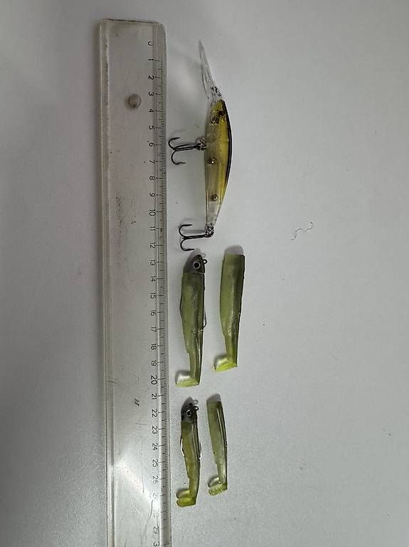 Canne da pesca: Optimales Barsch Beginnerset – Usato da Dübendorf venduto da R007 3