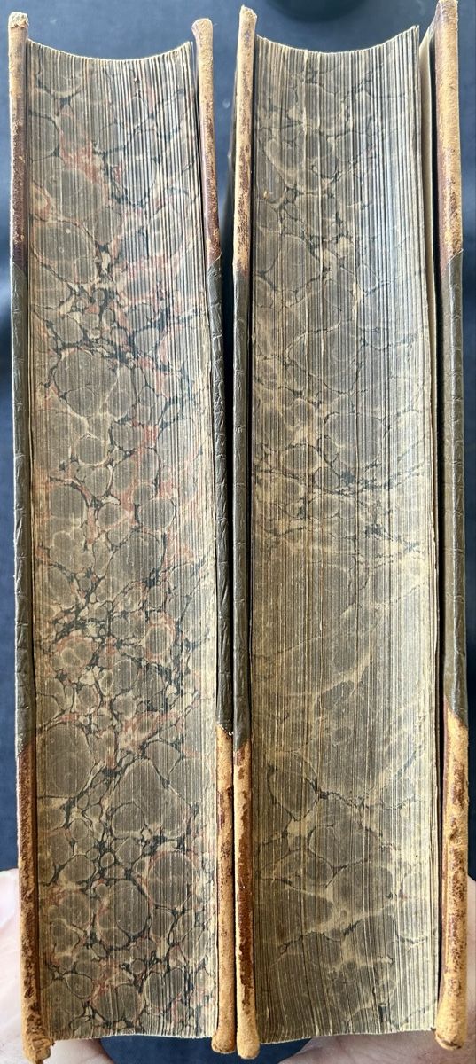 Libri: Das Buch vom Pferde 2 Bände 1902 – Usato da Frauenfeld venduto da Colonia64 5