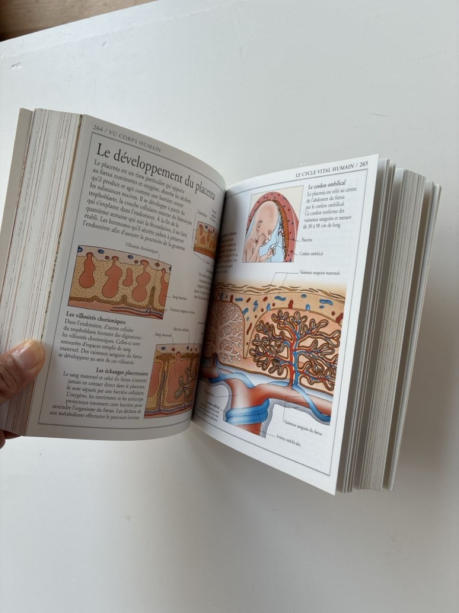 Libri: Corps Humain - Encyclopédie visuelle – Usato da Lucens venduto da metaD 4