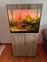Aquarium mit Unterschrank und Zubehoer gebraucht
