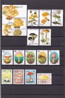 Tolle Motiv-Sammlung PILZE