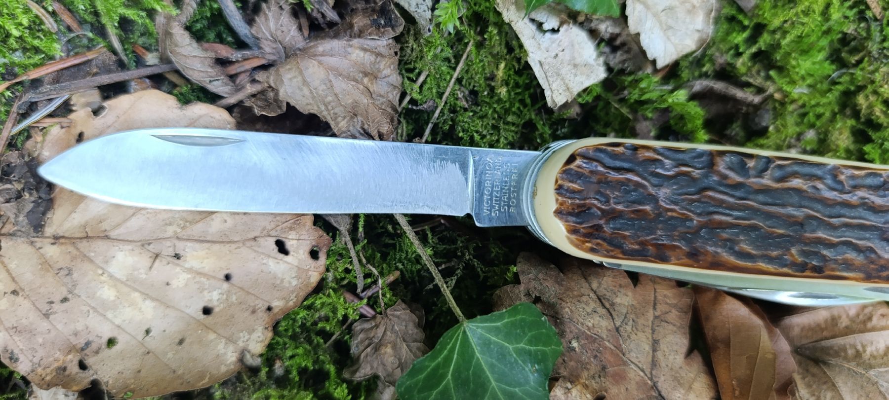 Victorinox Coltelli tascabile: Victorinox Taschenmesser  – Usato da Oppligen venduto da can_rf8g 2