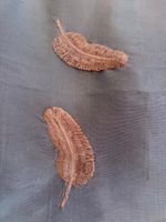 Stoff: Wunderschönes Braun mit aufgestickten Blättern