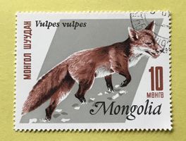 Briefmarken aus  Mongolei gestempelt  Siehe Original Fotos. 