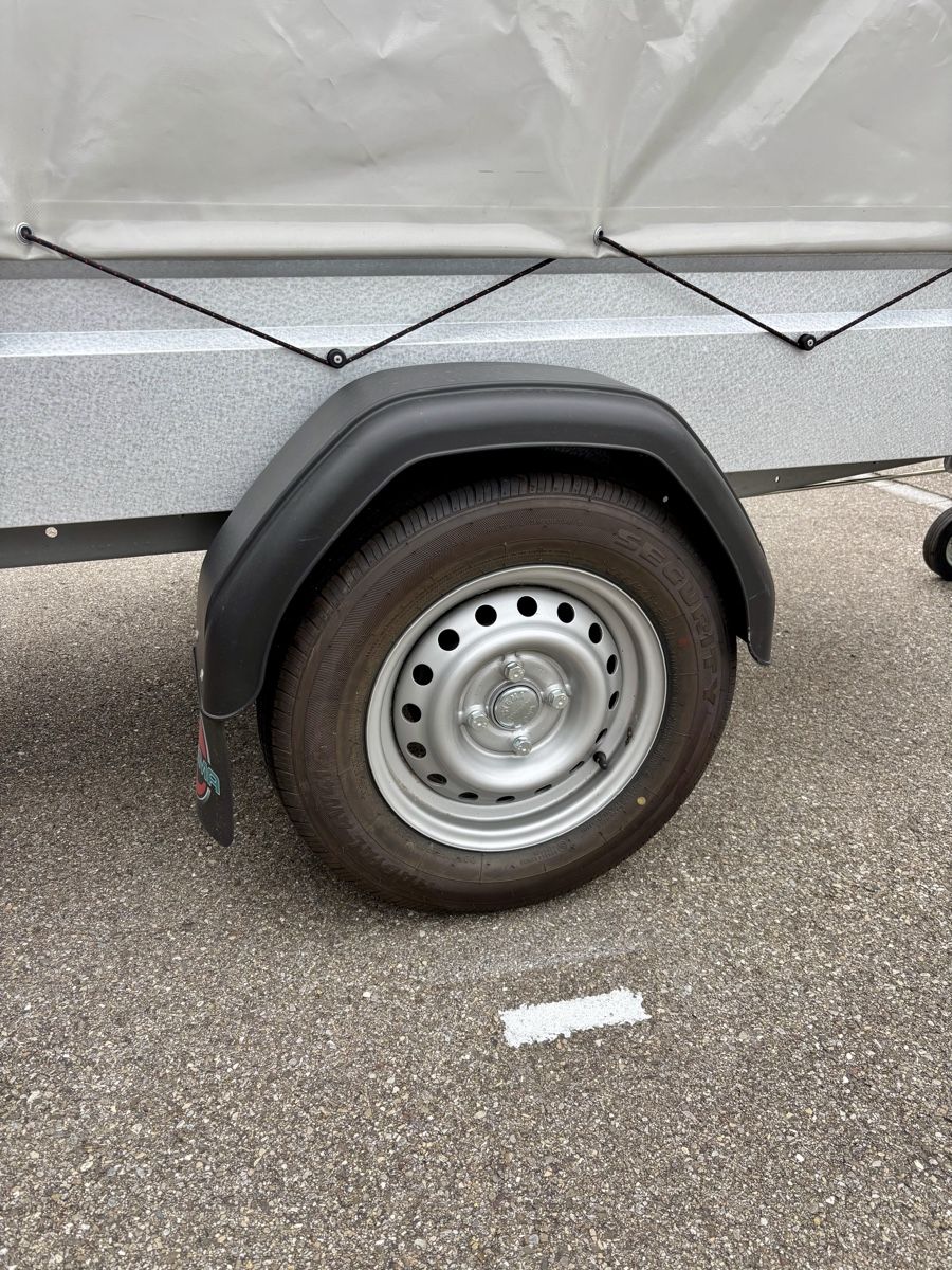 Heinemann Rimorchi: Transportanhänger mit Verdeck – Usato da Dielsdorf venduto da ASTIL80 3