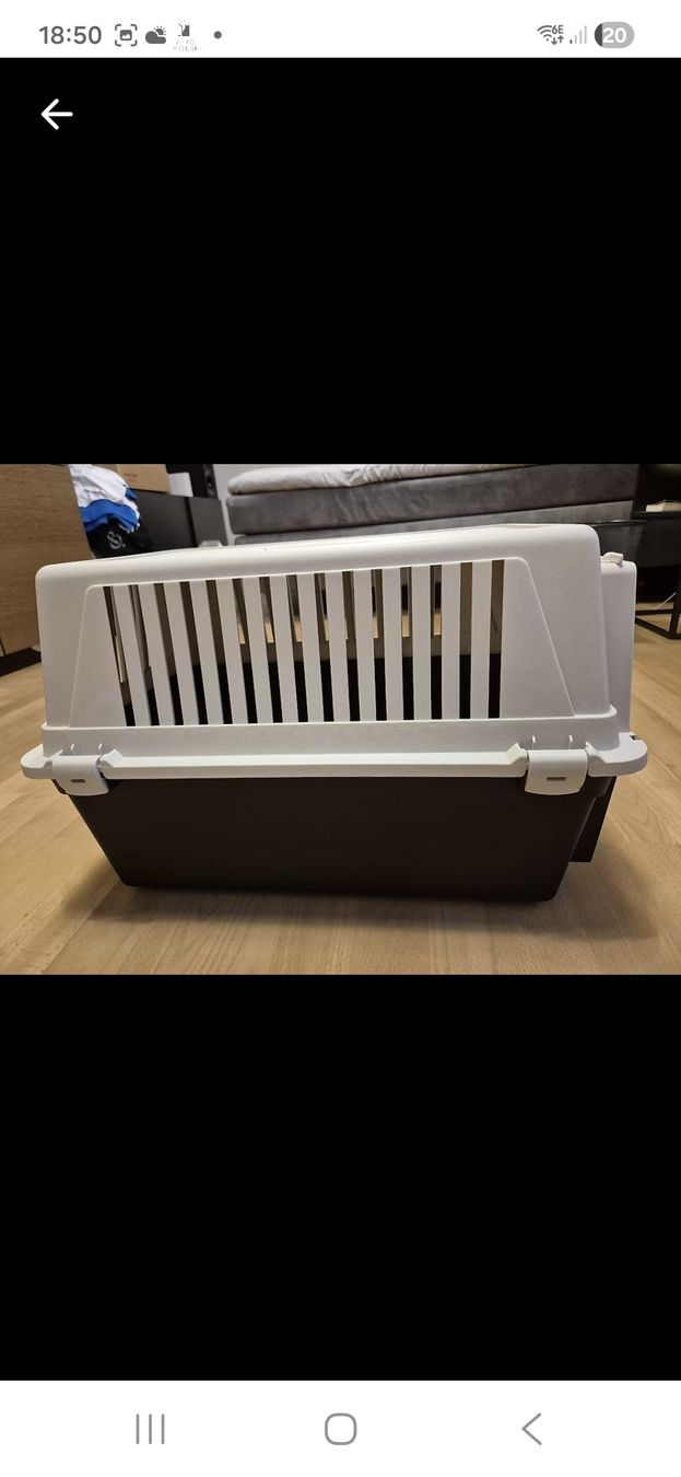 Gabbie, trasporto & Sicurezza: Transportbox Katzen/Hunde – Usato da Uerikon venduto da Claser 2