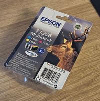 Epson T1306 Multipack