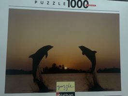 Puzzle Delphin 1000 Stück