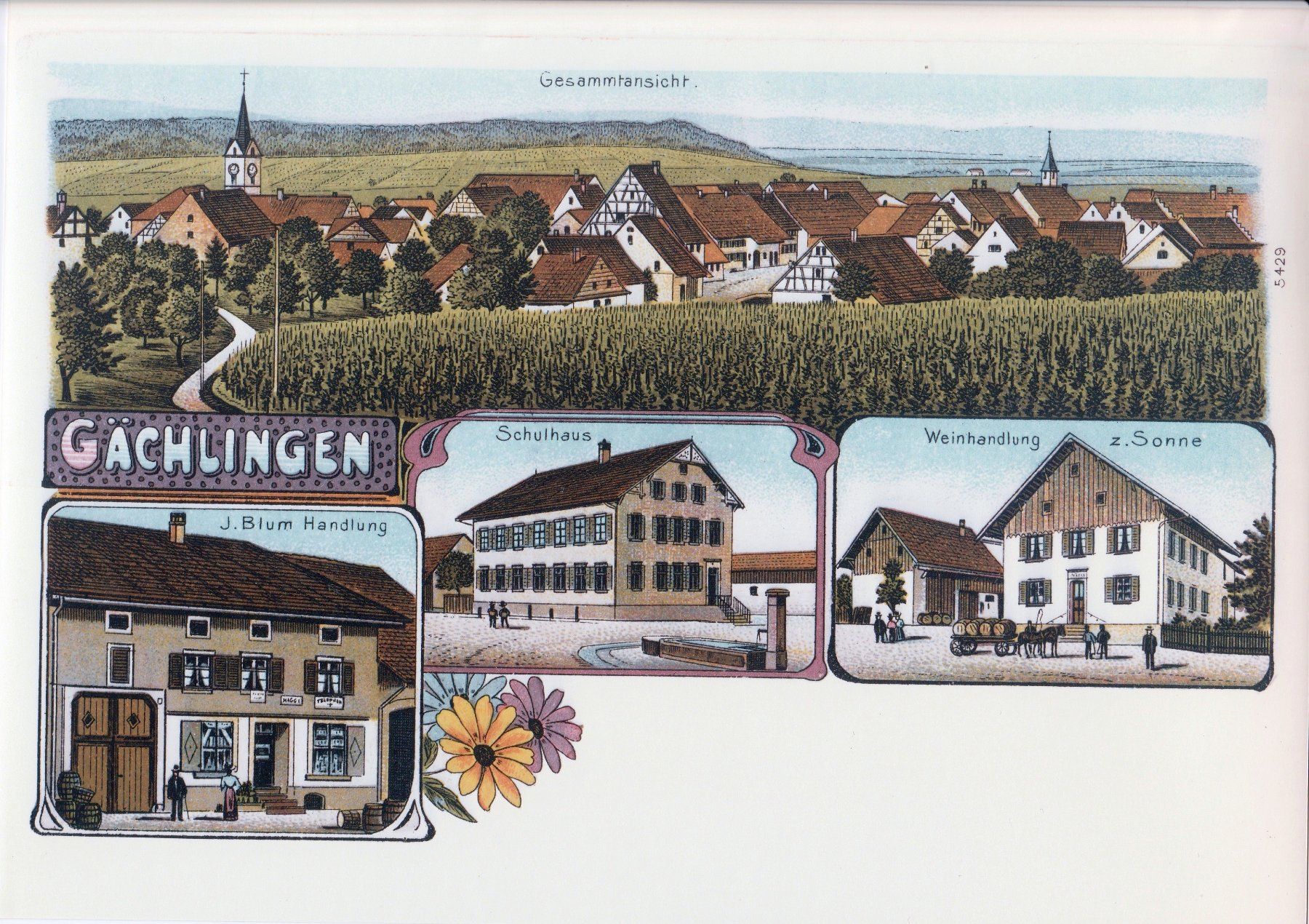 Cartes postales: Gruss aus Gächlingen – D'occasion à Fällanden par Blausegelfliege