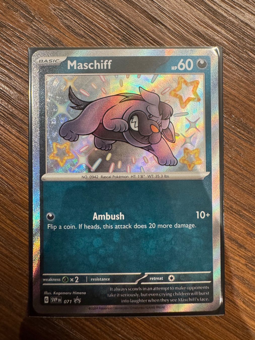 Pokémon Carte collezionabili: Maschiff Pokemon Promo 071 – Nuovo (secondo la descrizione) da Winterthur venduto da hershanking