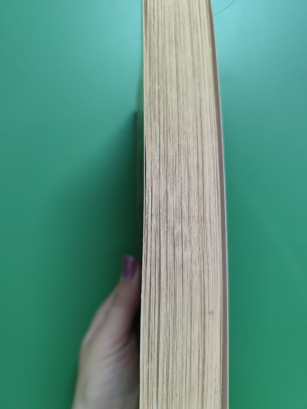 Libri: Waris Dirie Wüstenblume – Usato da Mägenwil venduto da VintageGirly 1