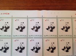 timbre Chine - Briefmarke China Panda 10 - 1973 **