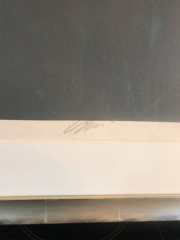 Dipinti: Grand tableau Hans Erni signé crayon – Usato da Servion venduto da cap_8wjb 3