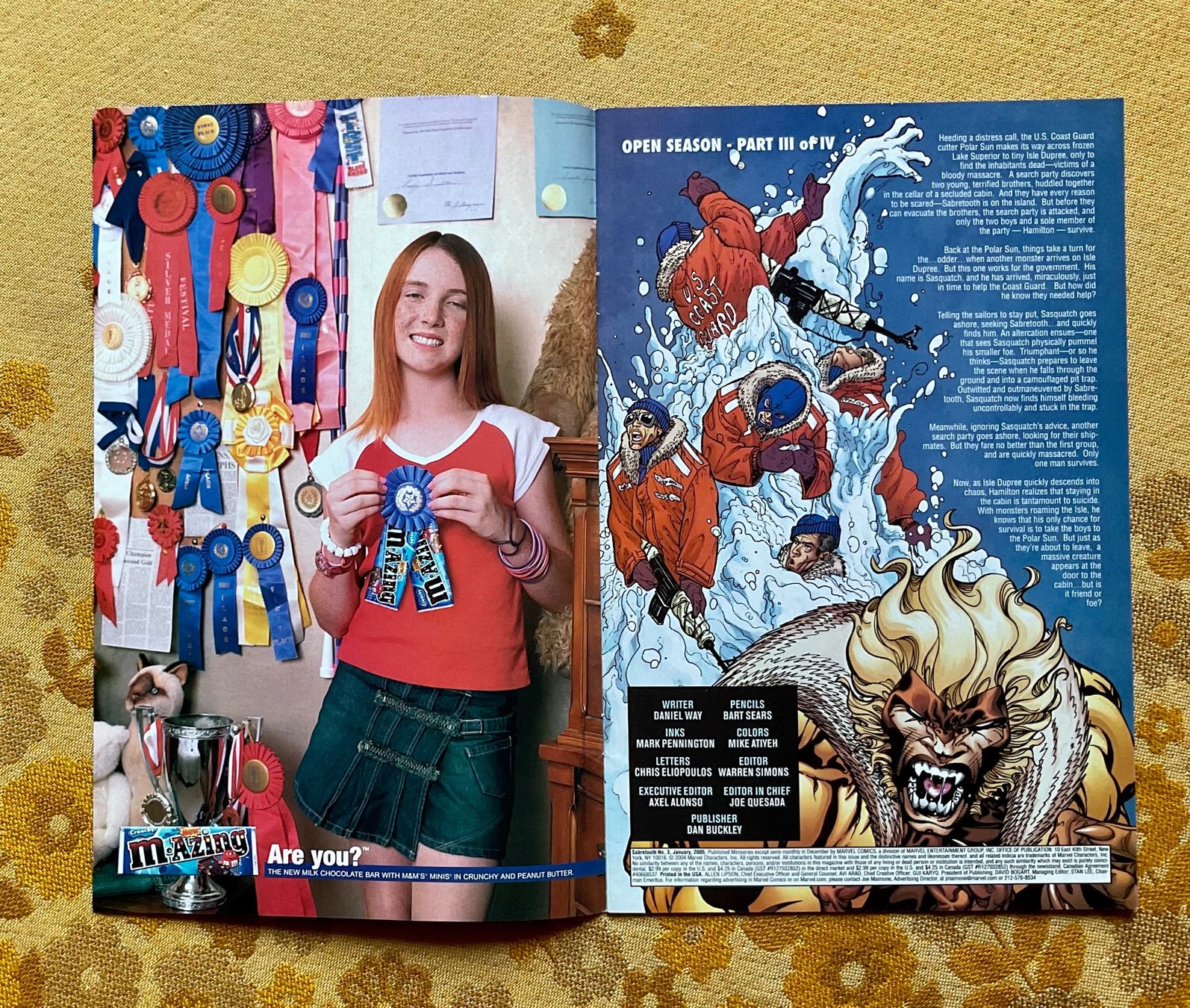 Fumetti: Sabretooth Heft Nr 3 von 2005 ENGLISCH – Usato da Endingen venduto da nathan05 1