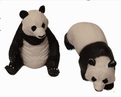 Schleich Panda Figuren Set neuwertig