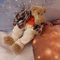 ÄLTERER SPEZIELLER SPORTLICHER TEDDY STOFF UND FELL