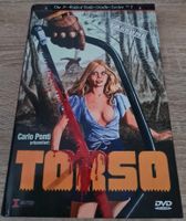 Torso *Grosse Hartbox*