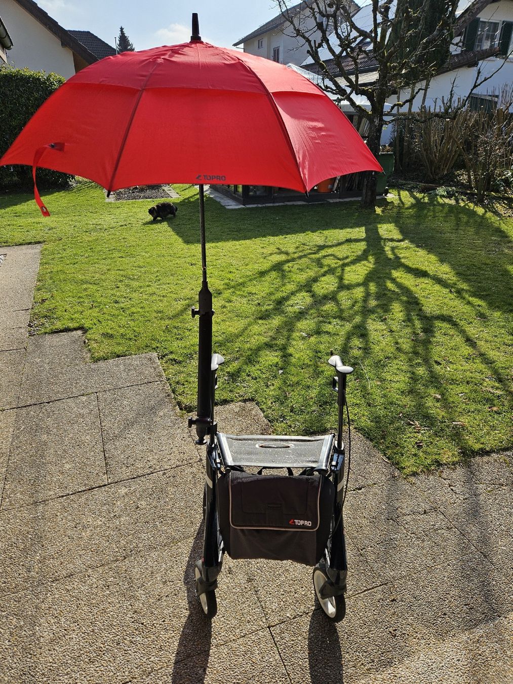Ausili per la deambulazione: TOPPRO ROLLATOR Pegasus Carbon mit Zubehör! – Nuovo (secondo la descrizione) da Langendorf venduto da Apricot1 1