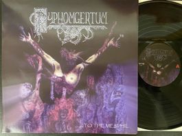 Pyphomgertum – ....To The Mesphil / The Dark Light [LP MEX]