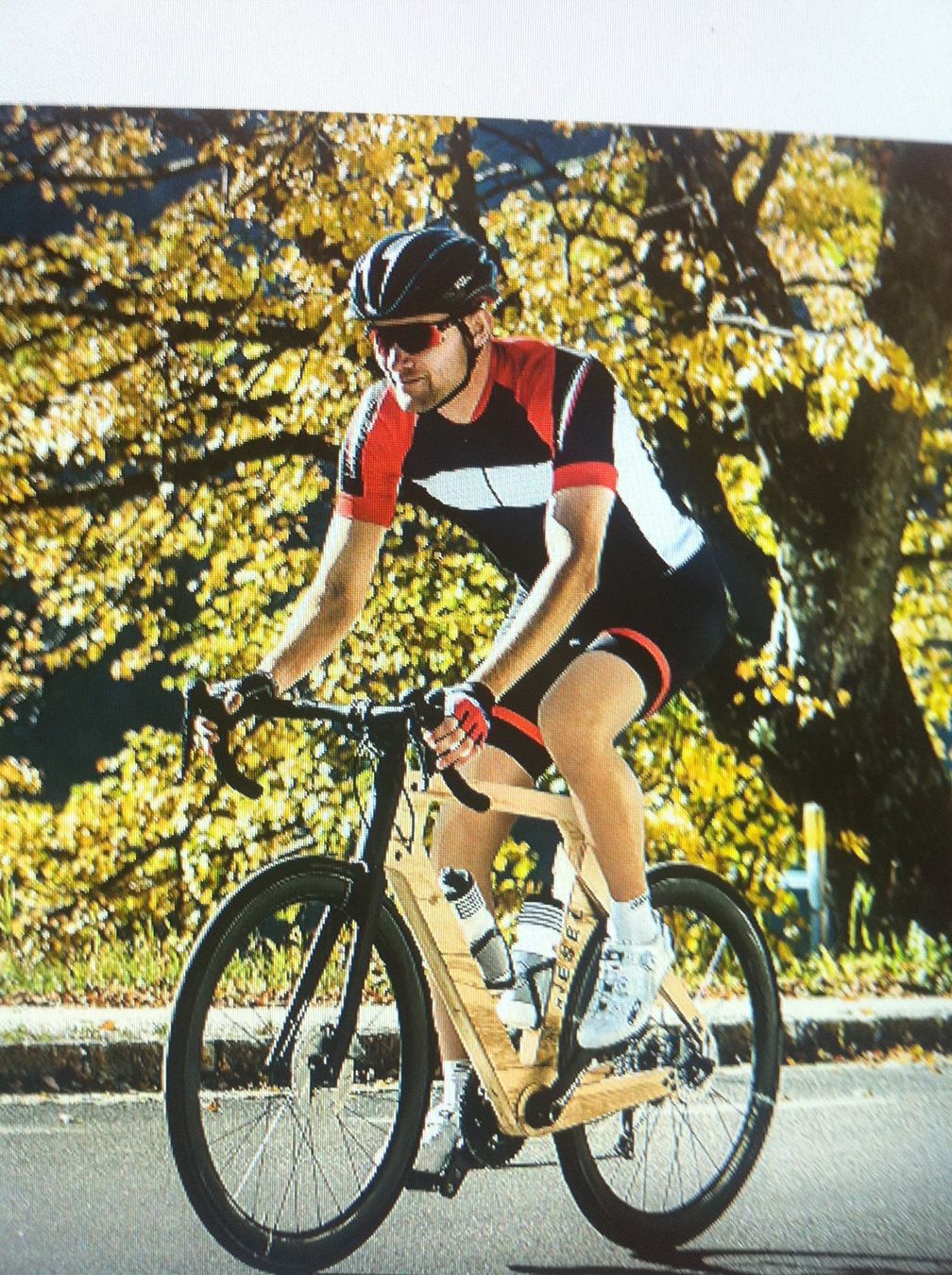 Biciclette: Holz-Rennrad – Nuovo e nell'imballaggio originale da Ibach venduto da garagebuerglergmbh