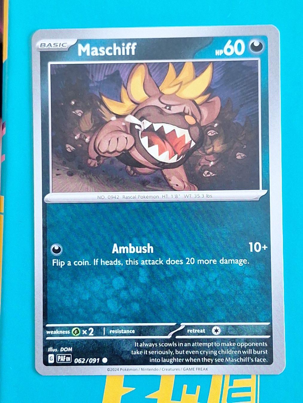 Pokémon Carte collezionabili: Maschiff - Pokemon Paldean Fates – Usato da Altstätten SG venduto da GGsGameshop